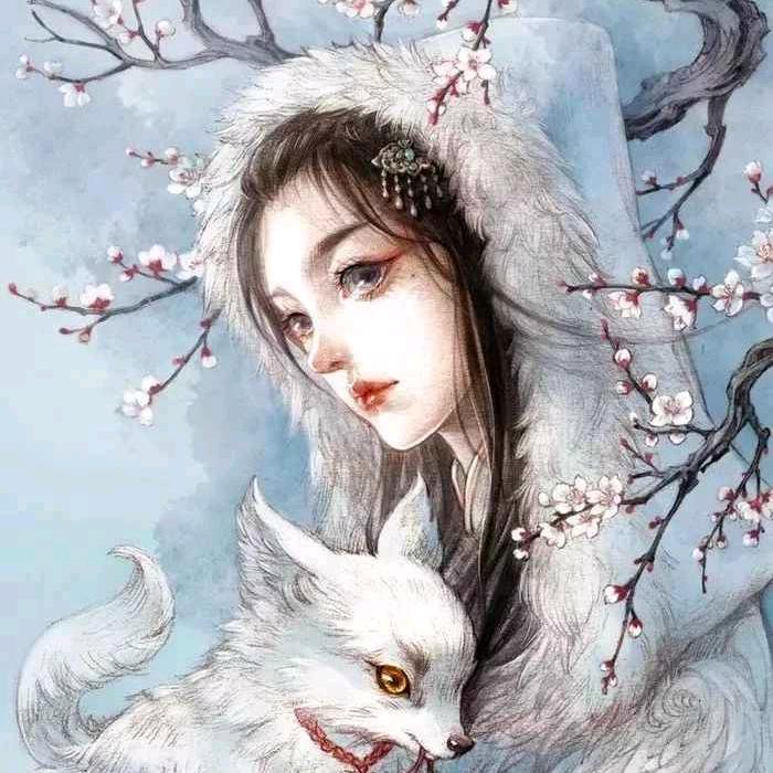 胡禿禿