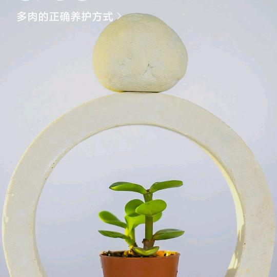 阿声歌