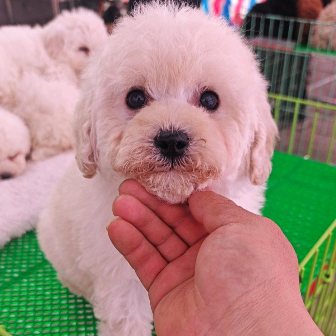 美丽品质严选铺子