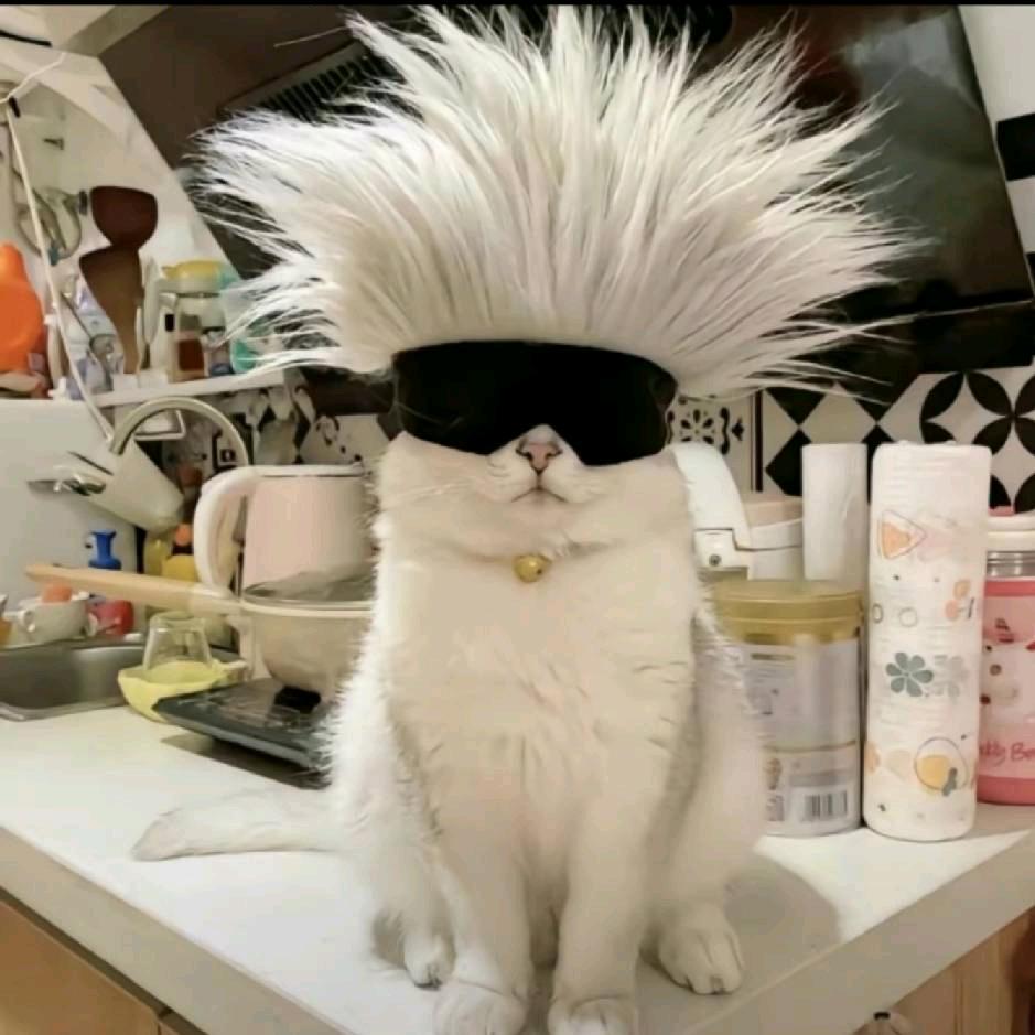 k.k.