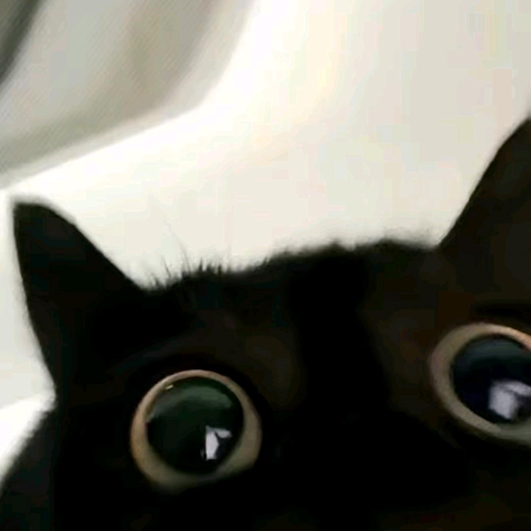 Nnnn