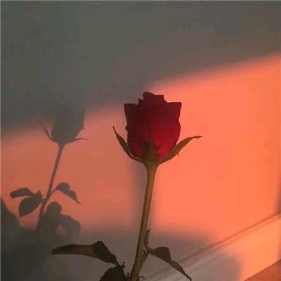 放飞梦想
