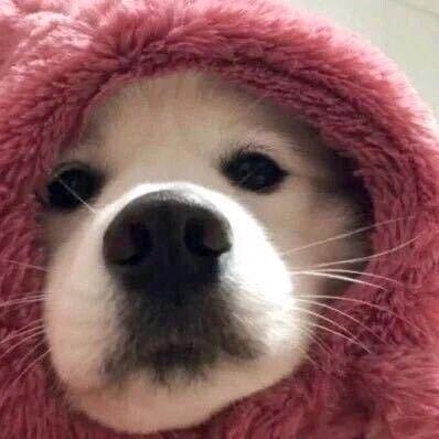 發