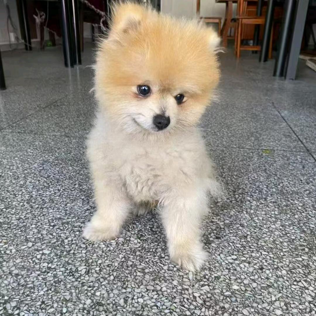 意志百货