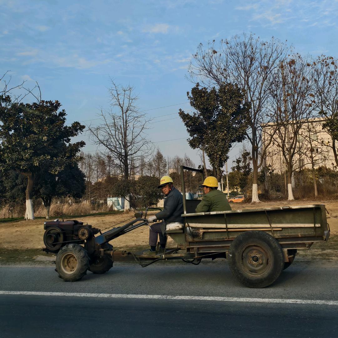 冬天枝头开满花🌸