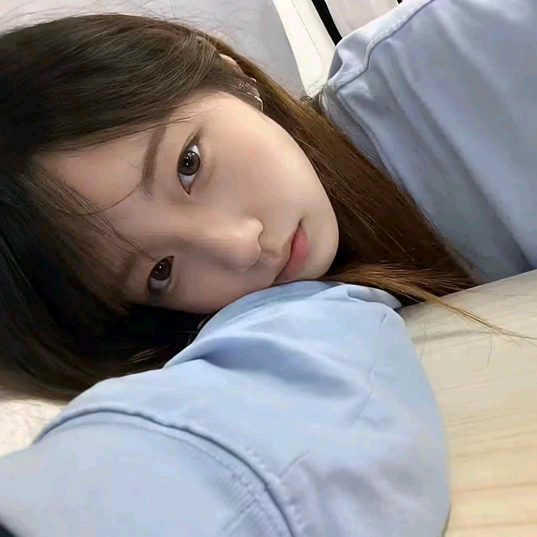 初鸢头像