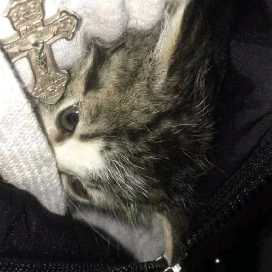 晚風.