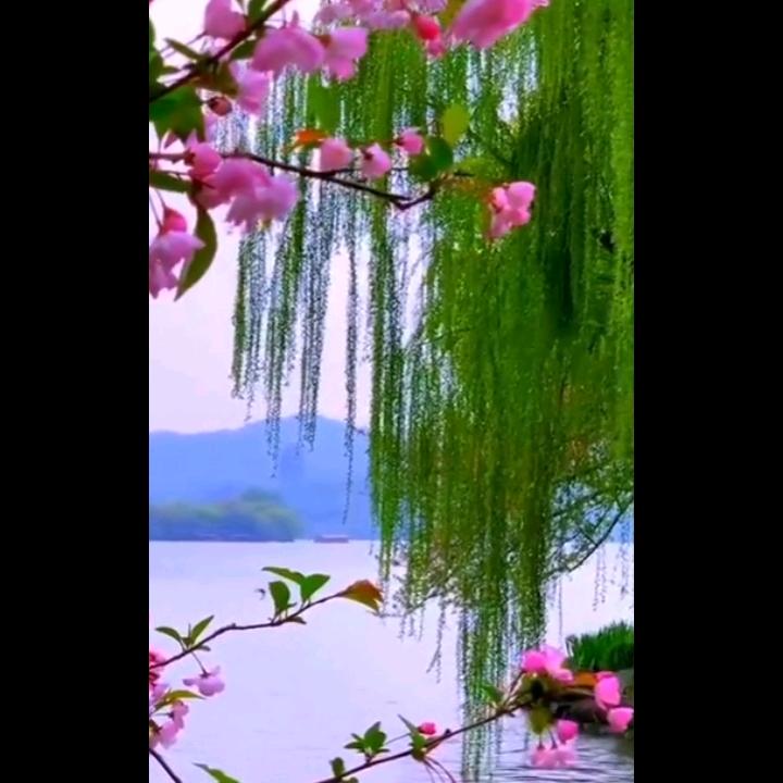 认识你真好