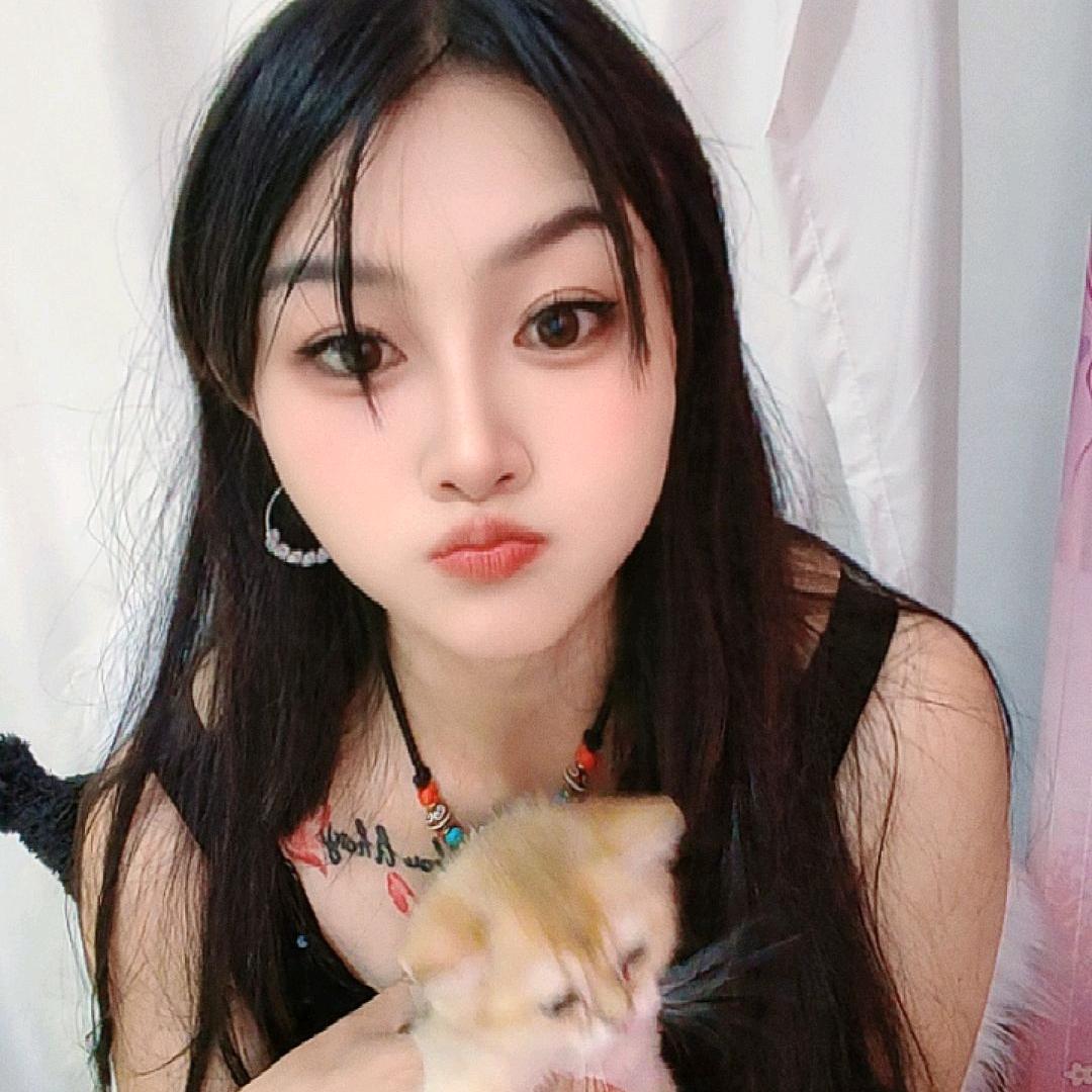 猫猫😻😻