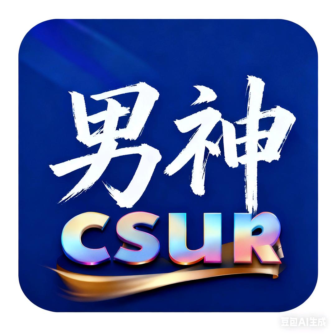 男神CSUR