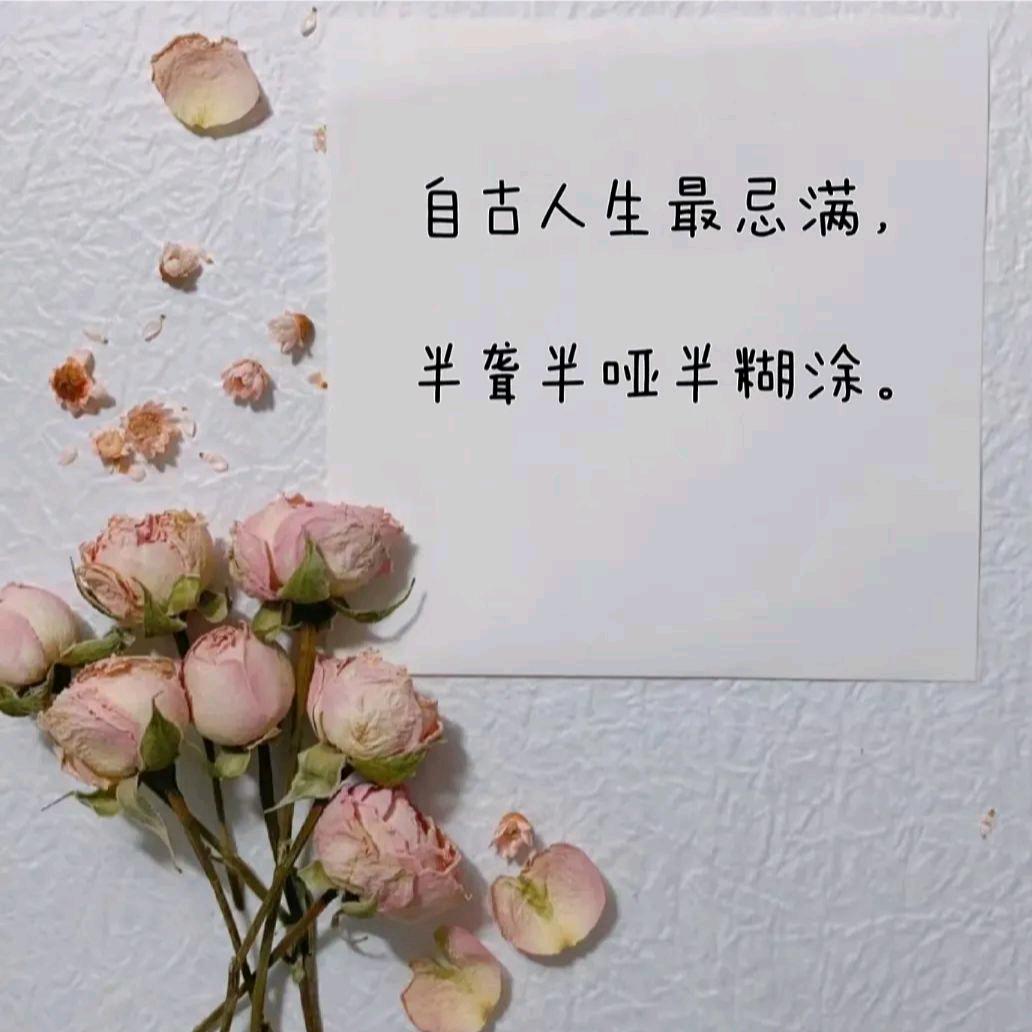 小云儿🌸🌸