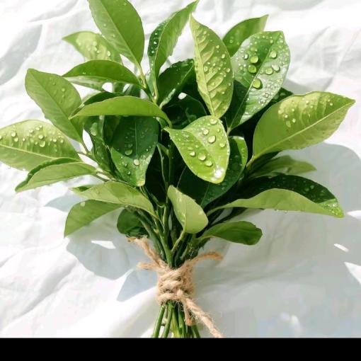 昆明办公家具北站店，做了23年办公家具。