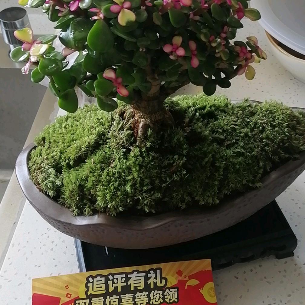 少年已不在年少