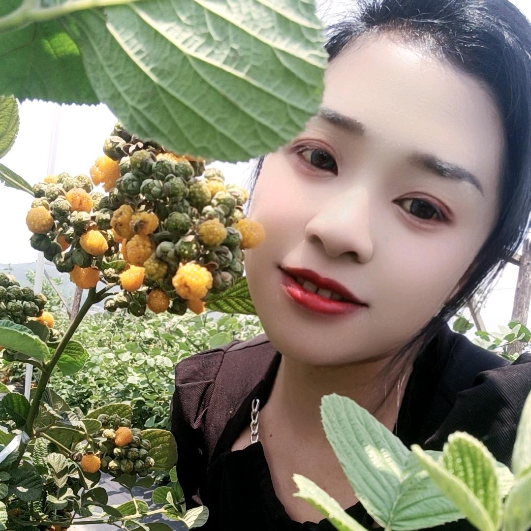 断翅蝴蝶