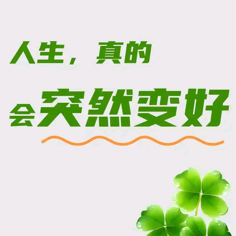 宁波品檀（青芳）