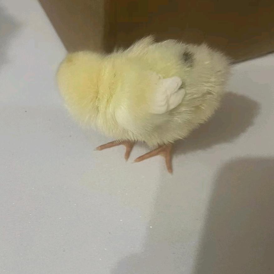 我一句话没说