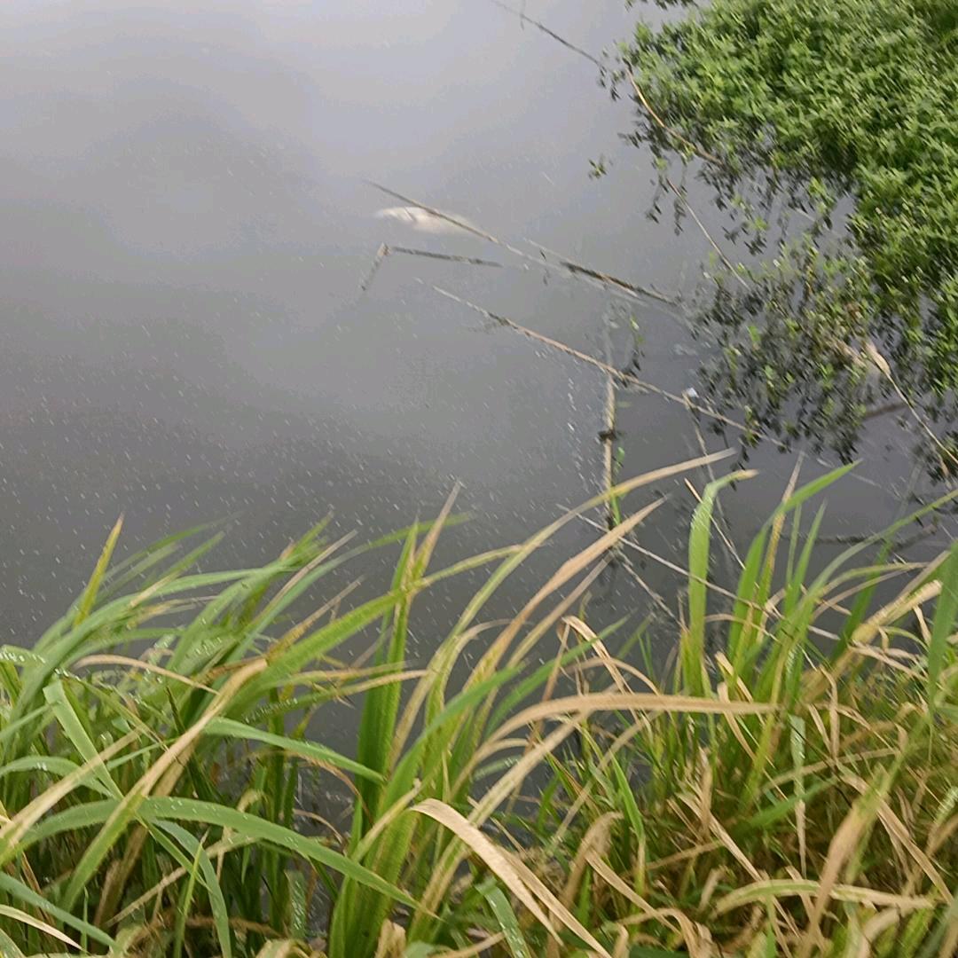 知足就好🎤东哥