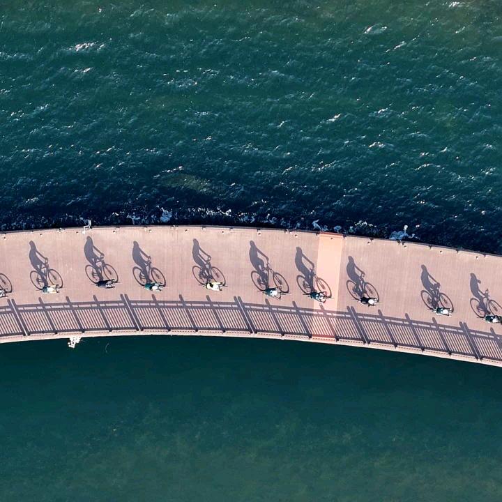 水道小麦