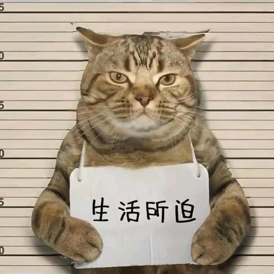 🌈辰光矾心