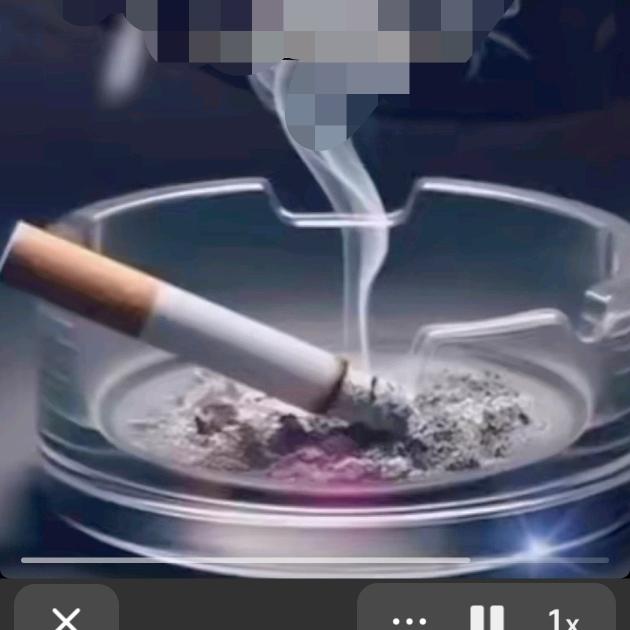 ꧁᭄樱花树下站谁都美᭄🕊