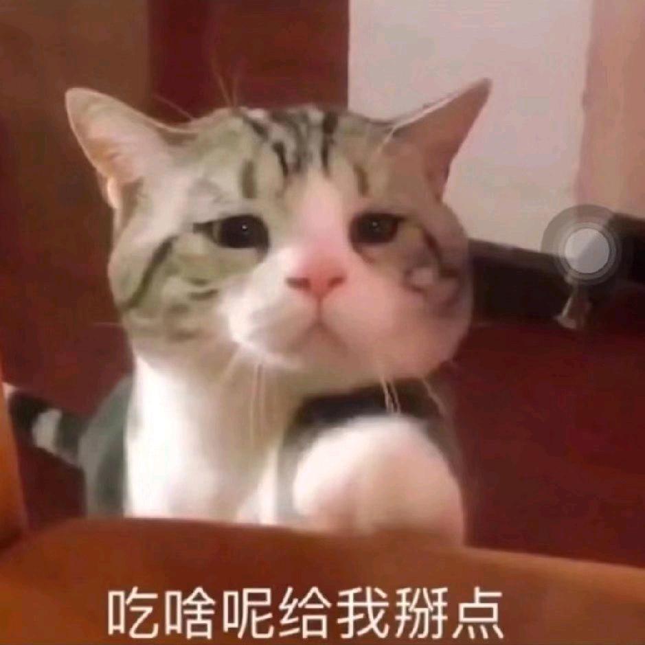 好名字才能让你记住