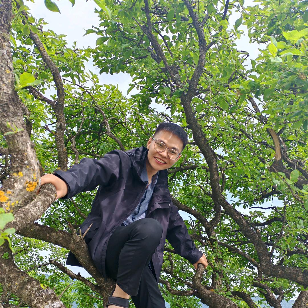 安驰二手车直播号