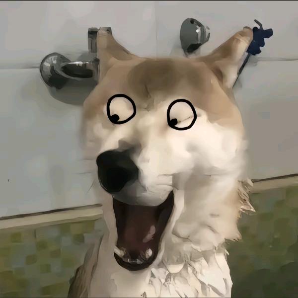 睡不醒.