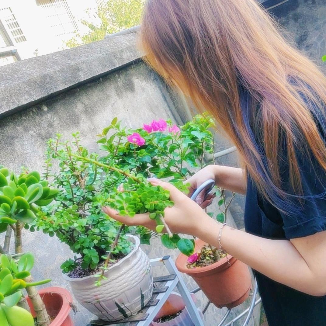 暖夏
