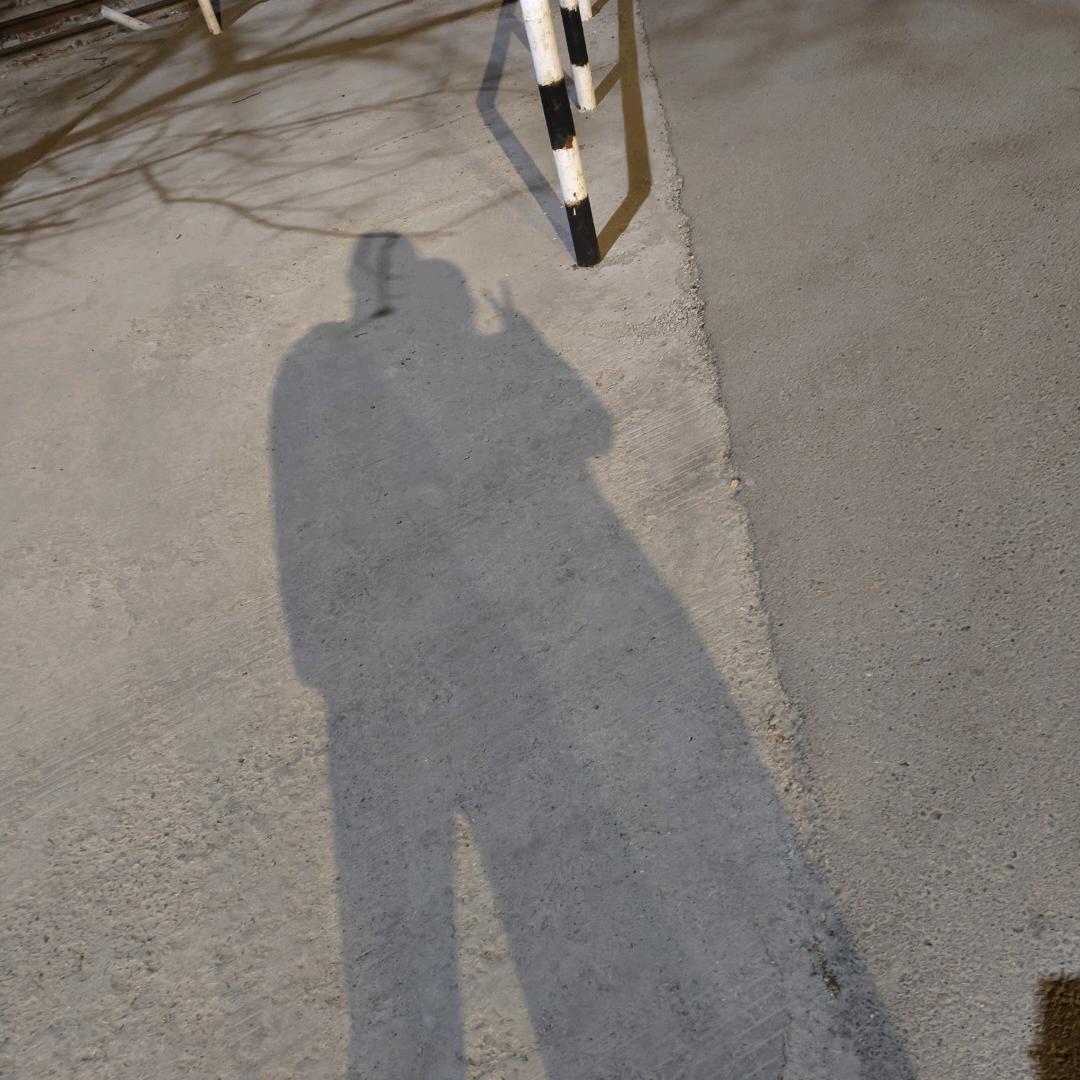 居然有怪兽