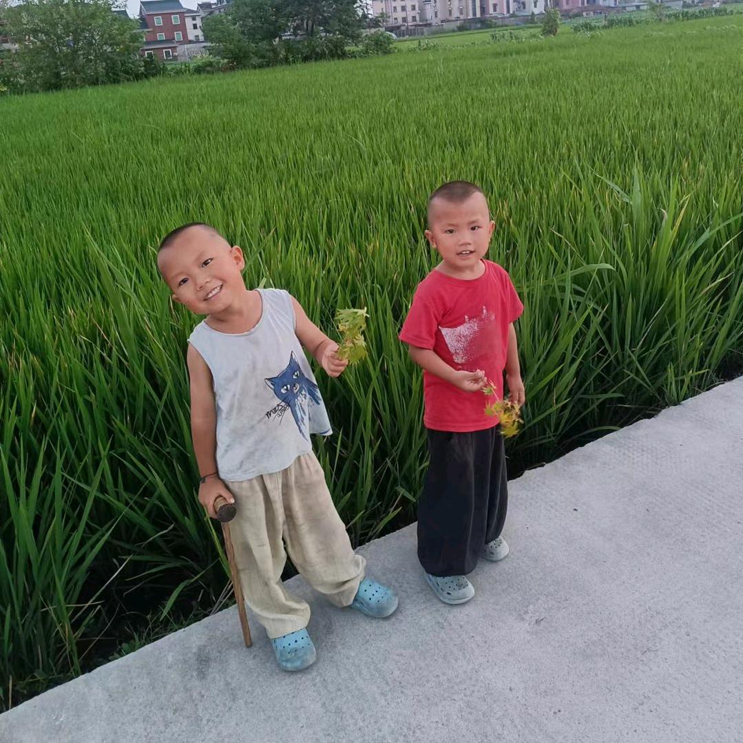 এ᭄一介🎋俗人ღ