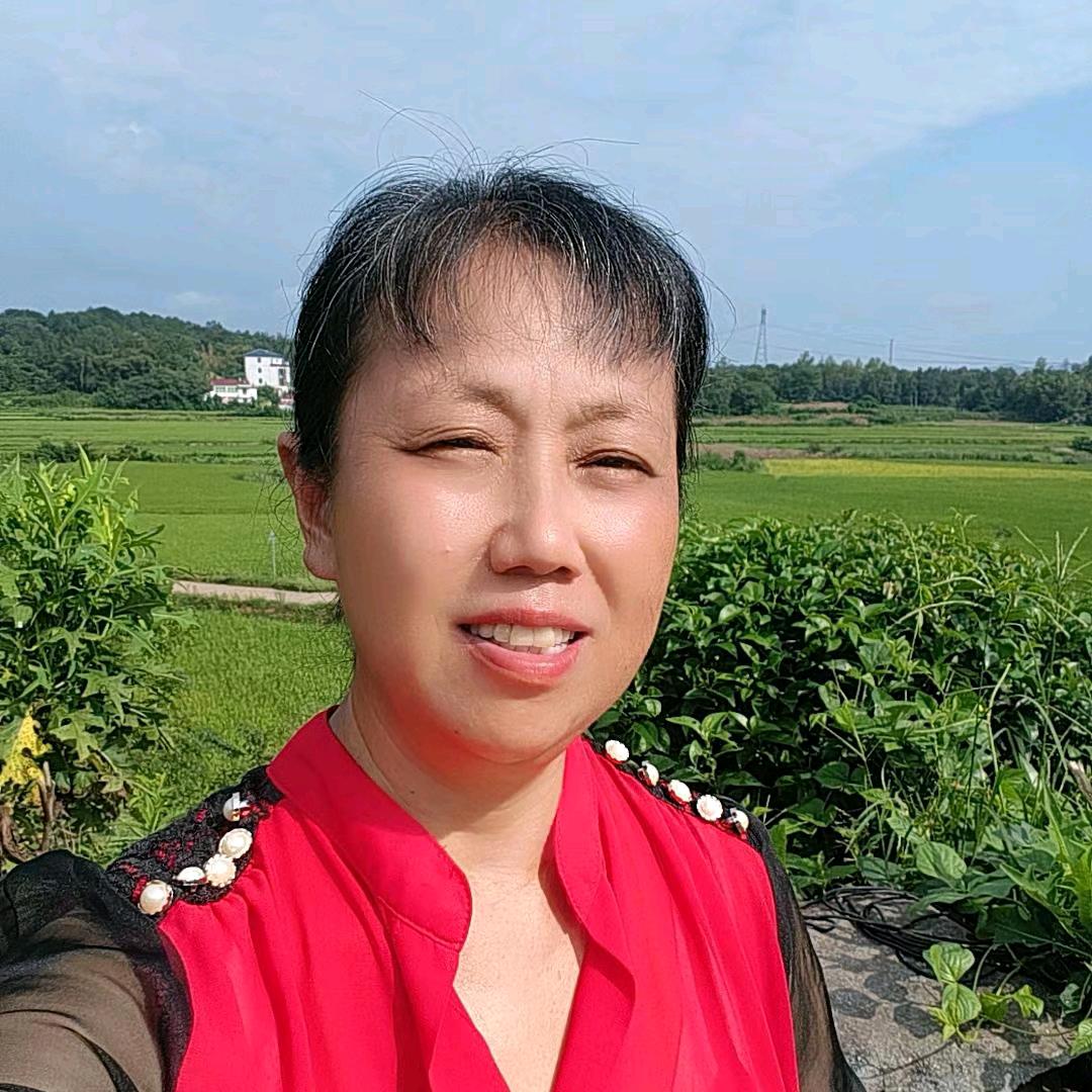 梅姐