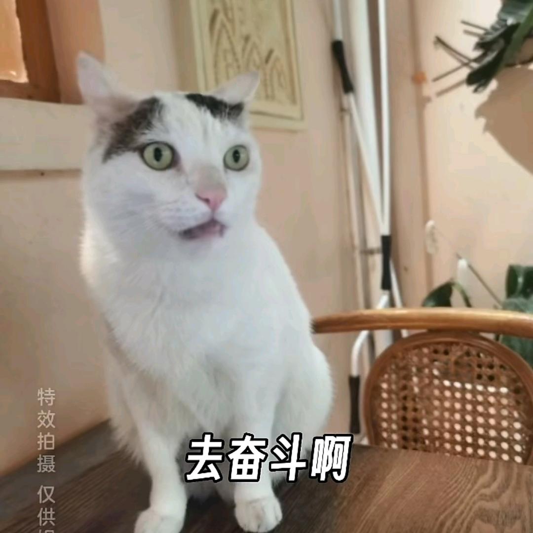 彭华宇