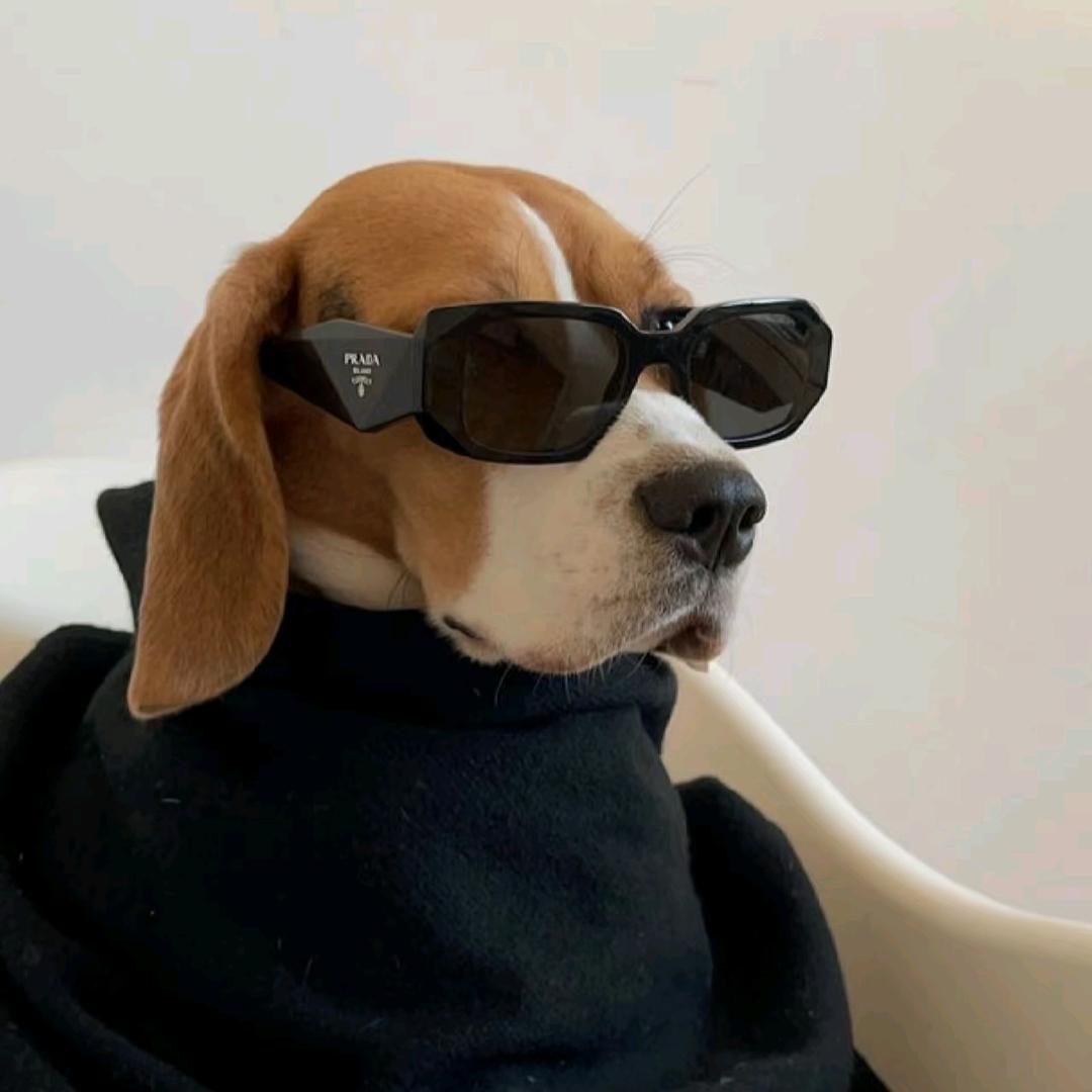 比格受害者之一