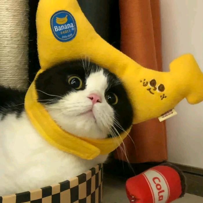 养乌龟的小阿姨™