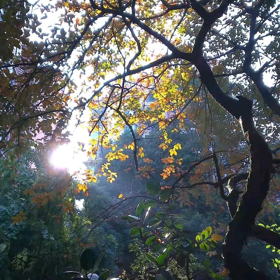 李映辞
