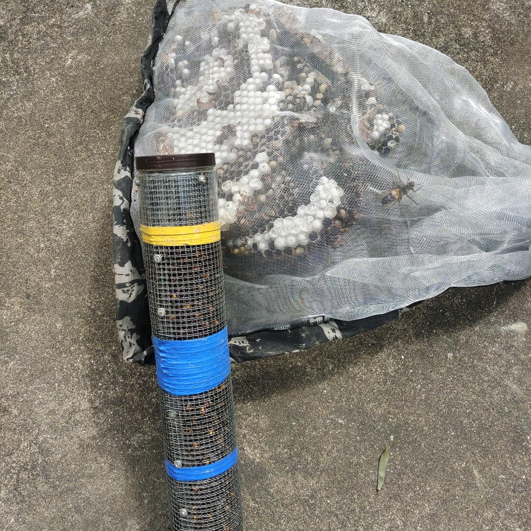 渔乐分享，阿立