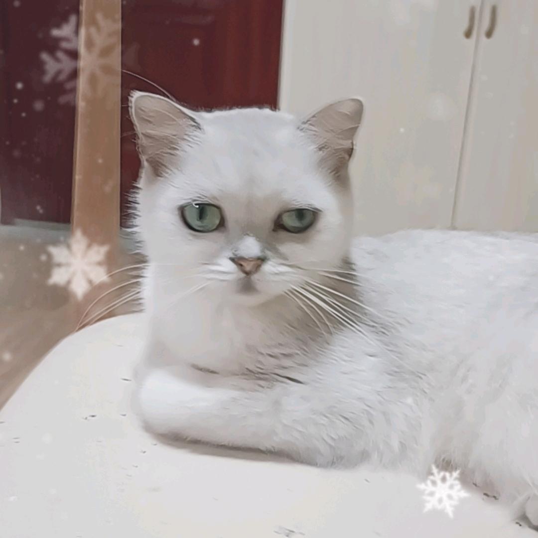 金栀因