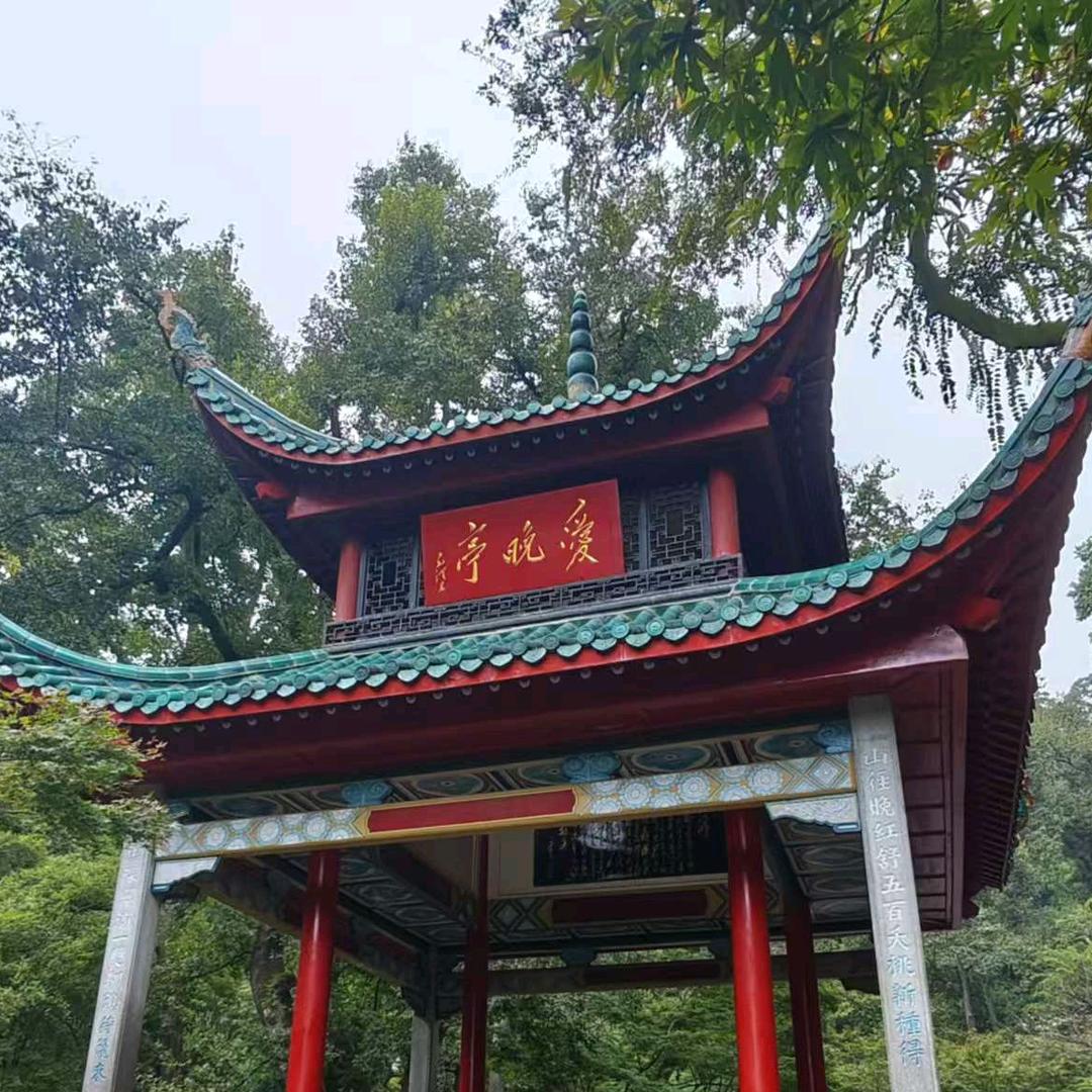 星城