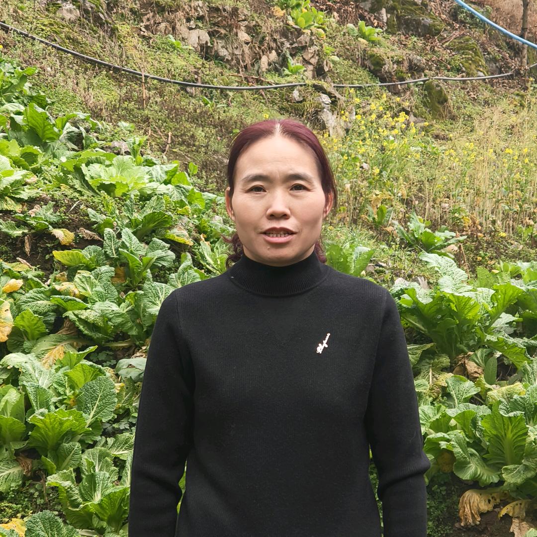 陈二妹