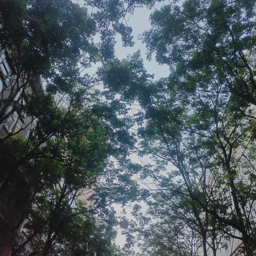 🌴🌴🌴🌴祝福🌴🌴🌴🌴