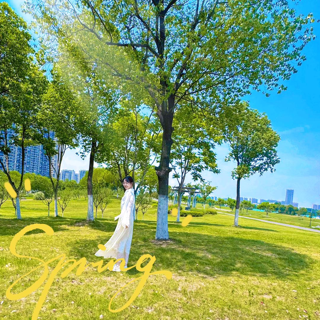 锦绣金陵|江序-富婆姐姐