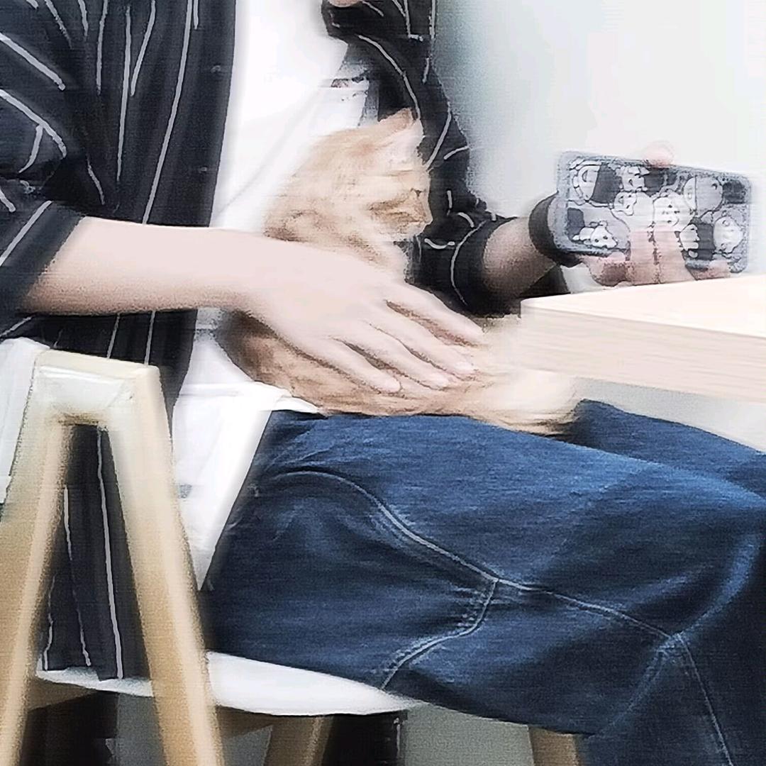 鹤扰
