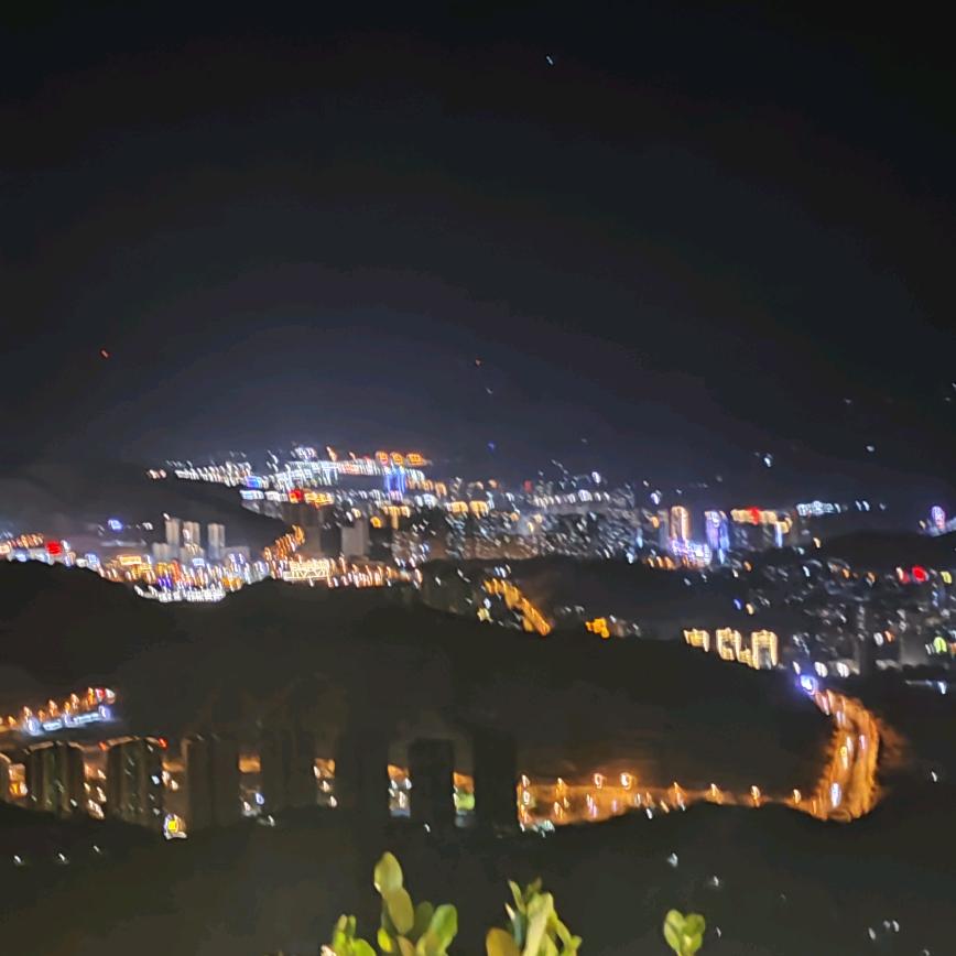 蓉漂小龙