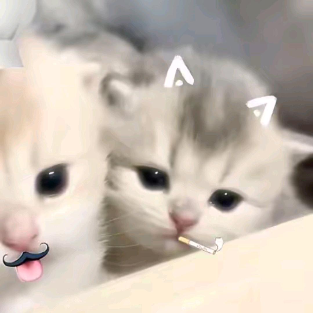 桉