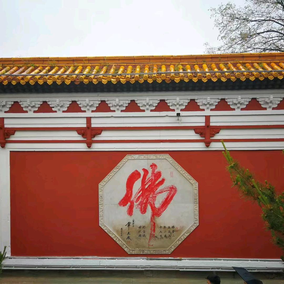【舍得】搞慈善一直在路上。