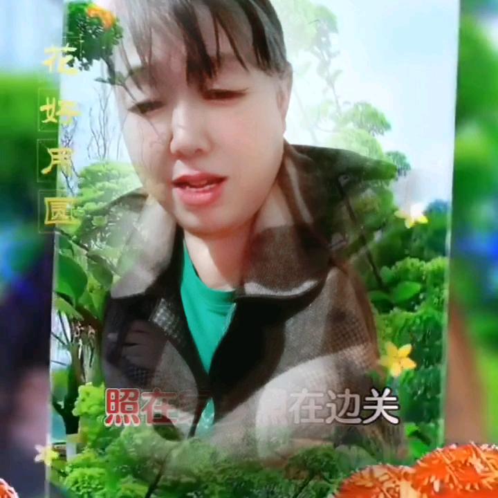 王姐