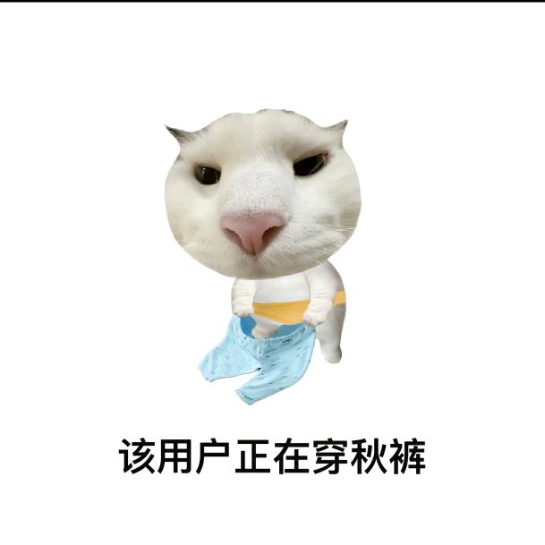 万通筋骨贴