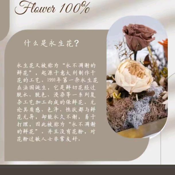 森屿.永生花批发