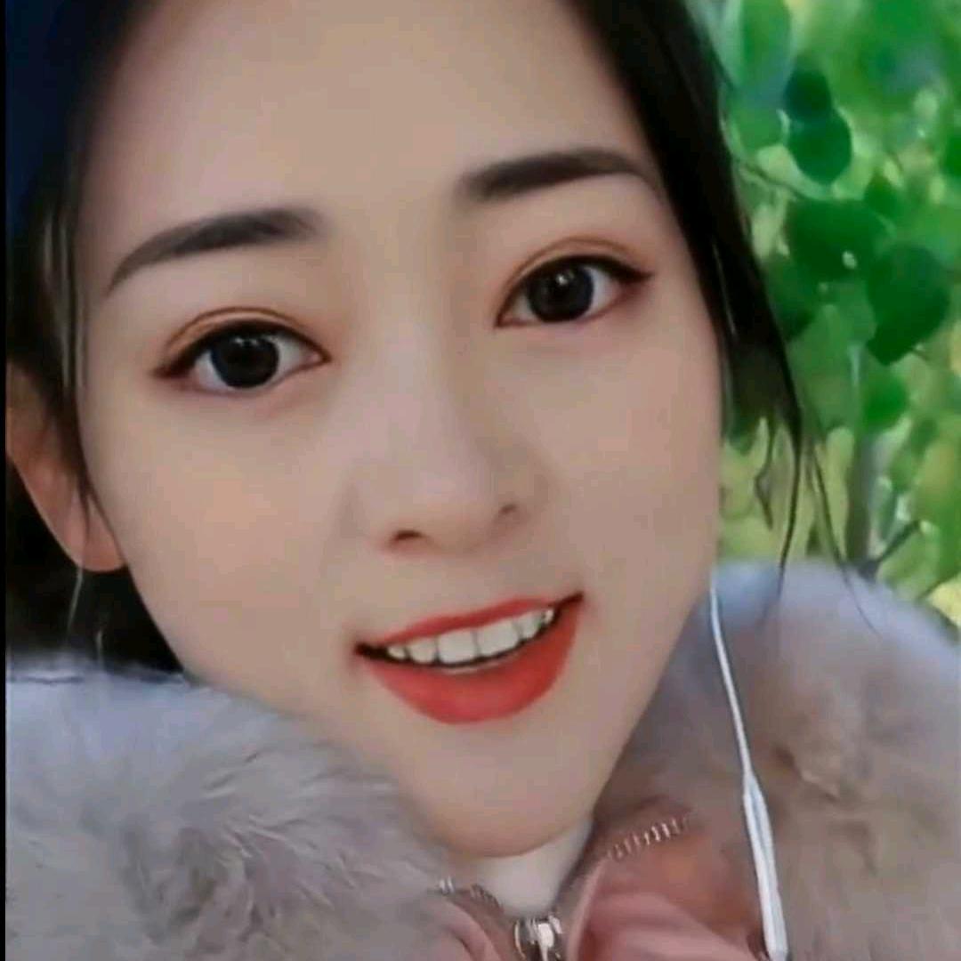 灵芝_2194084