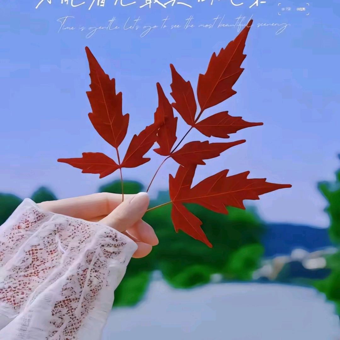 小W呀💓